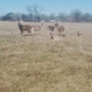 Meet your Posher, Margarito